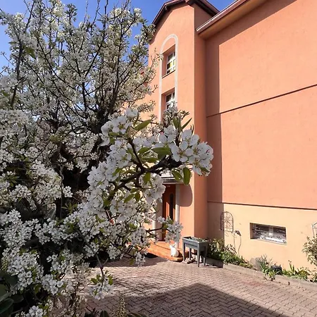 Apartment T3 + Veranda A