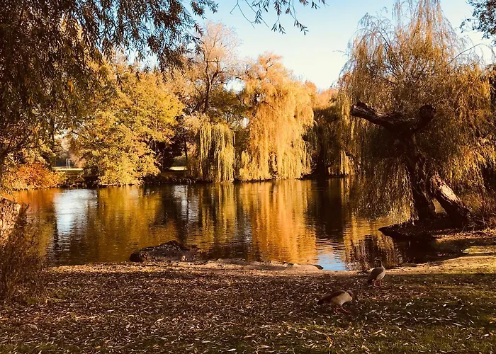 T3 + Veranda A Strasburg