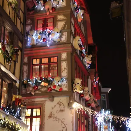 T3 + Véranda A Apartamento Estrasburgo